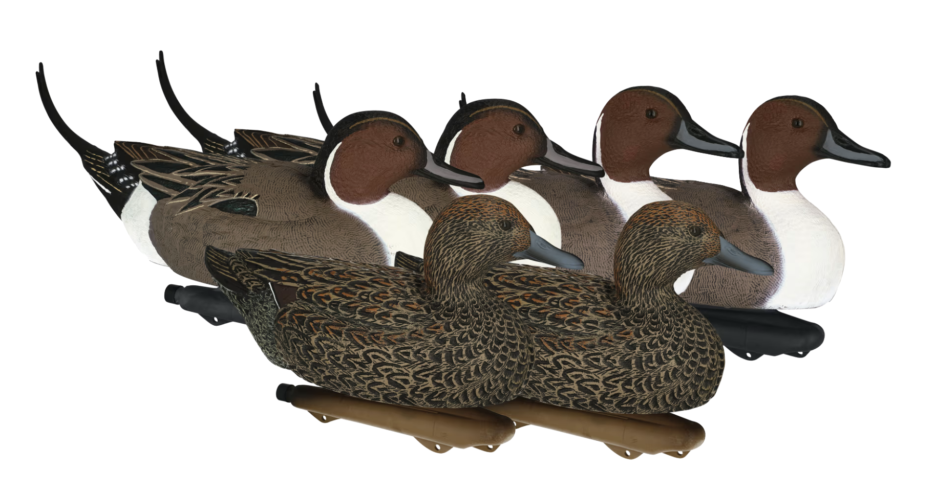 Cabela's Northern Flight Pintails