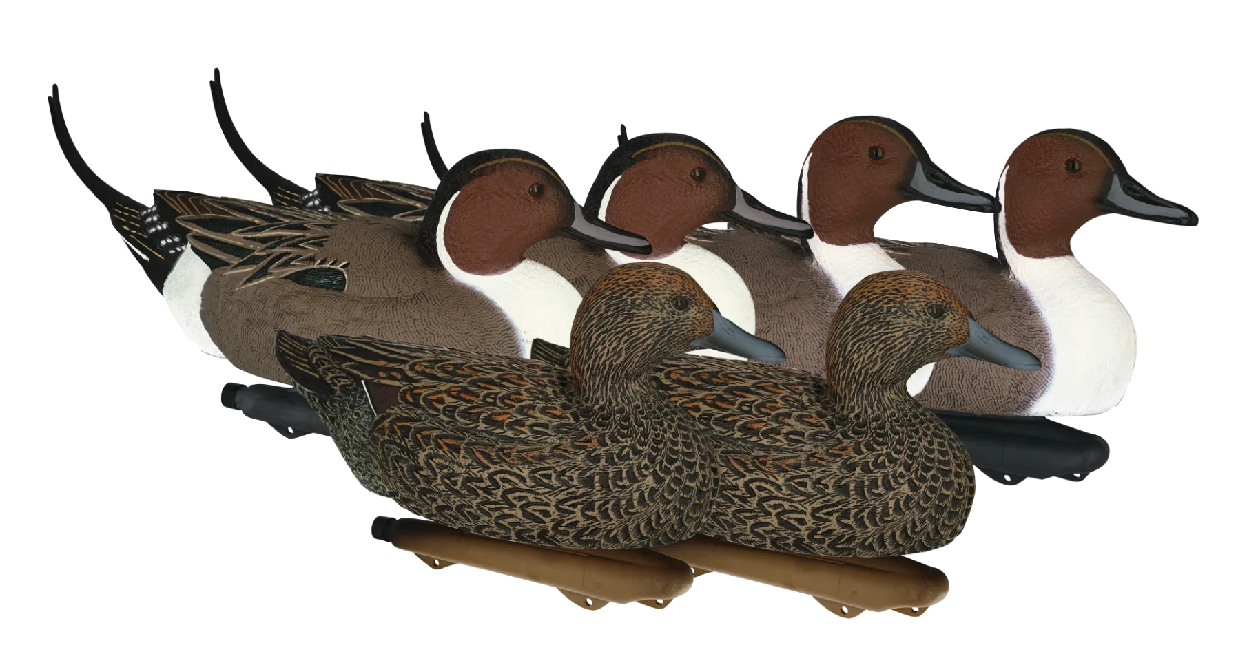 Cabela's Northern Flight Pintails