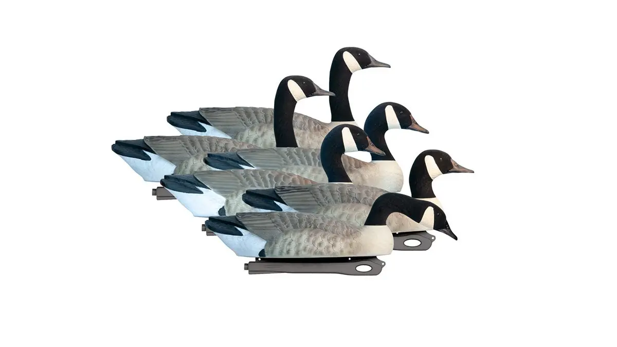 goose decoys