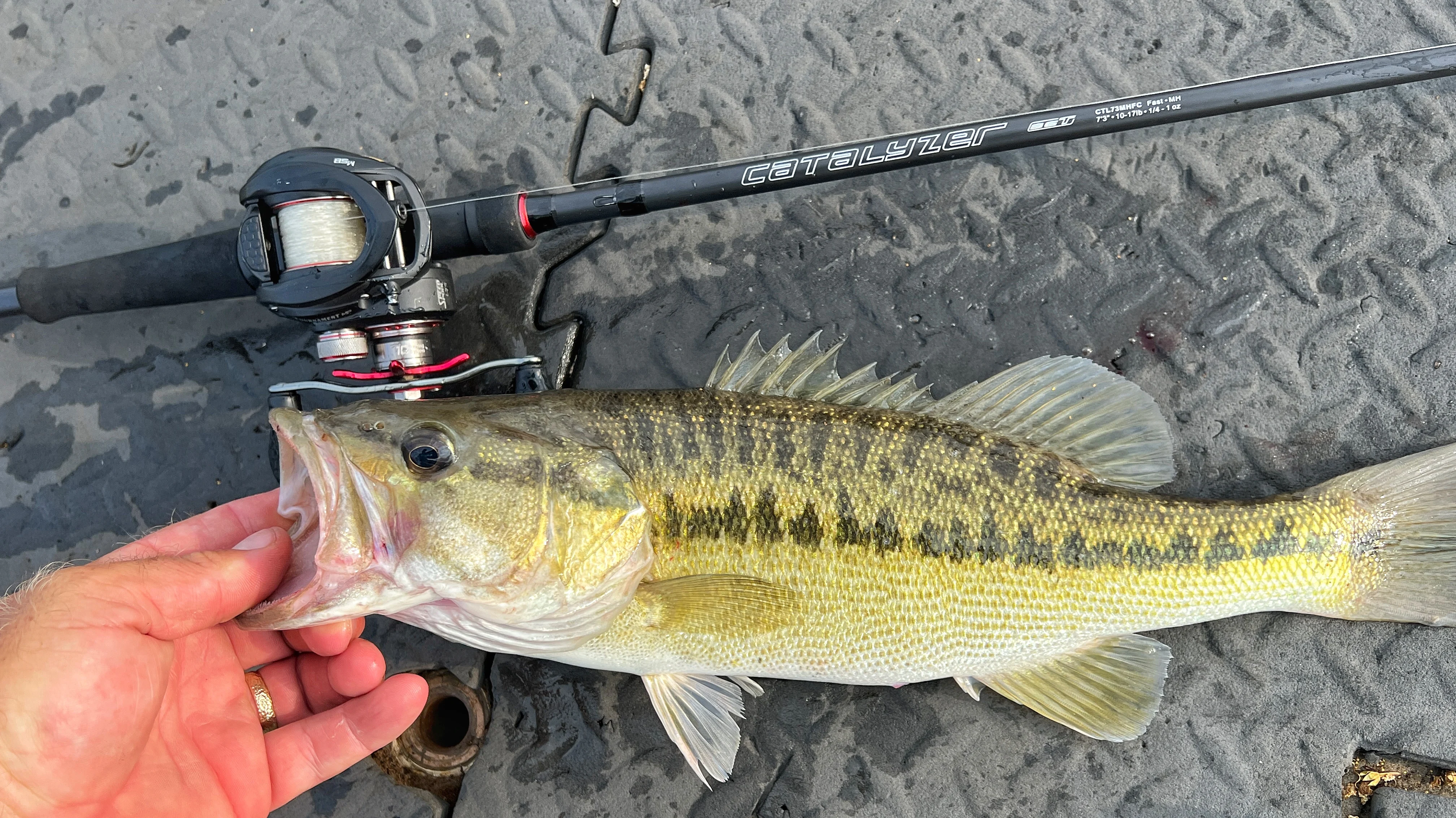 Fishing rod on deck of boat with largemouth bass next to. it