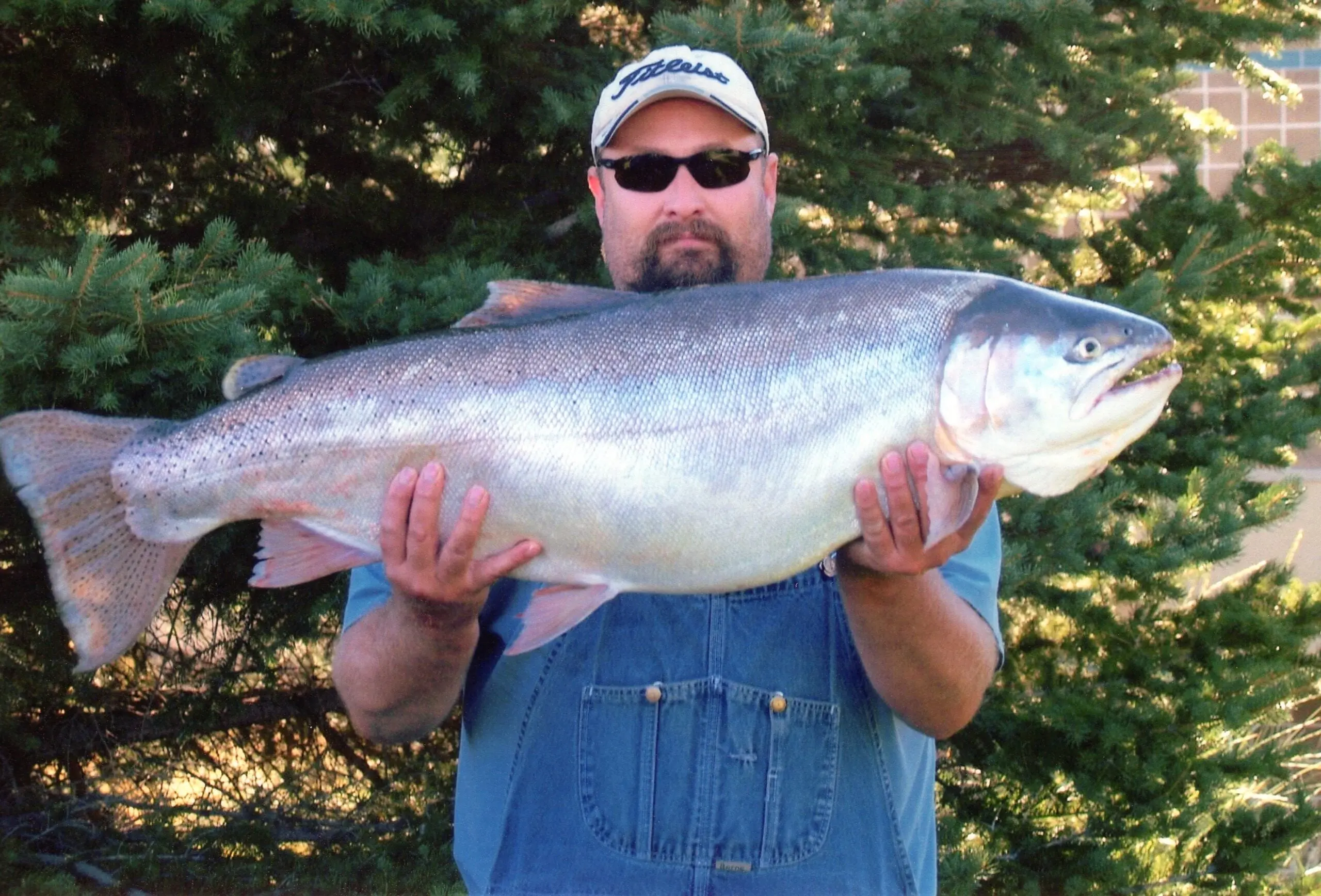 The biggest cutbow trout ever caught.