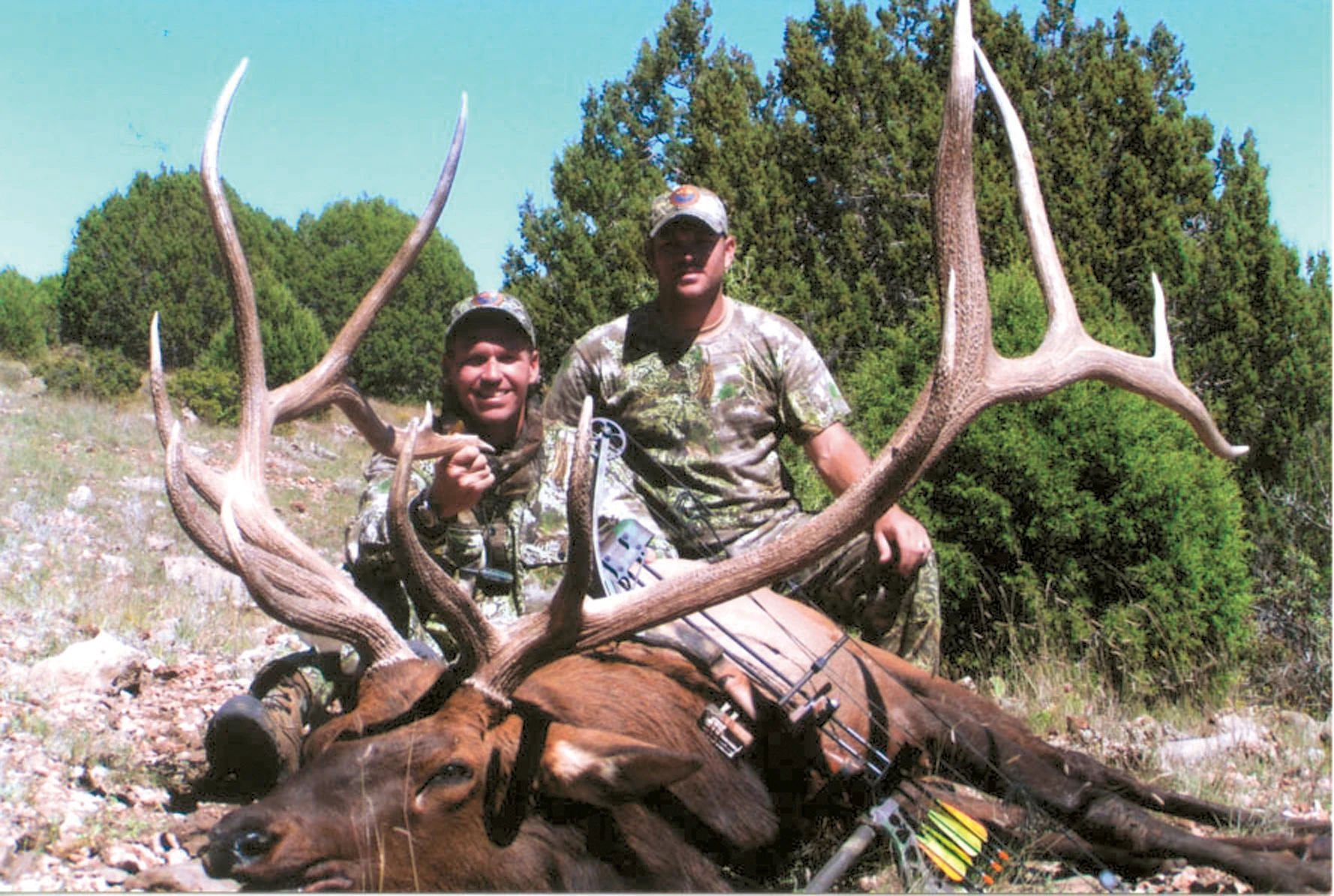 An elk hunter poses with a top-five Pope & Young bull. 