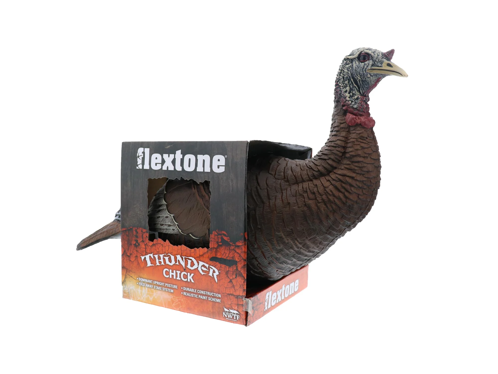 Hen decoy