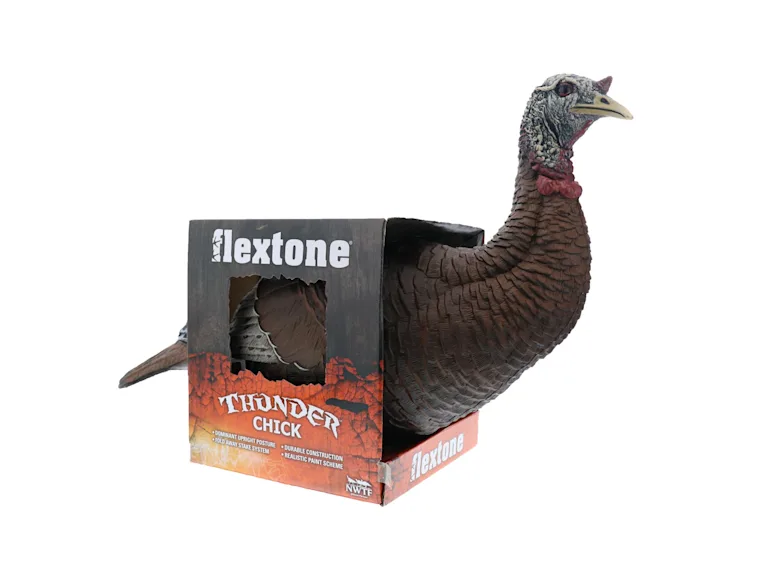 Hen decoy