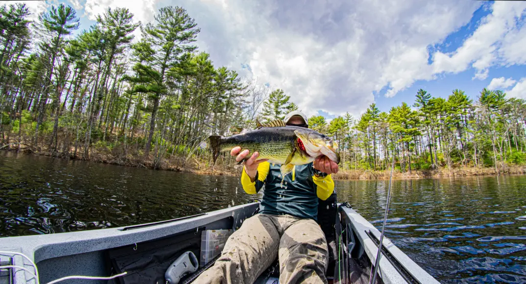 angler holding bass