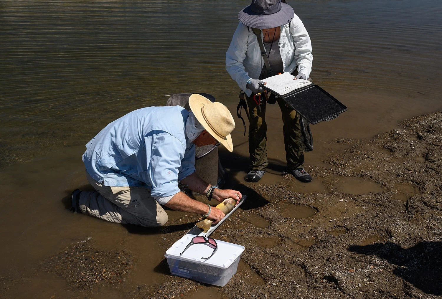 two researchers measure trout and take notes