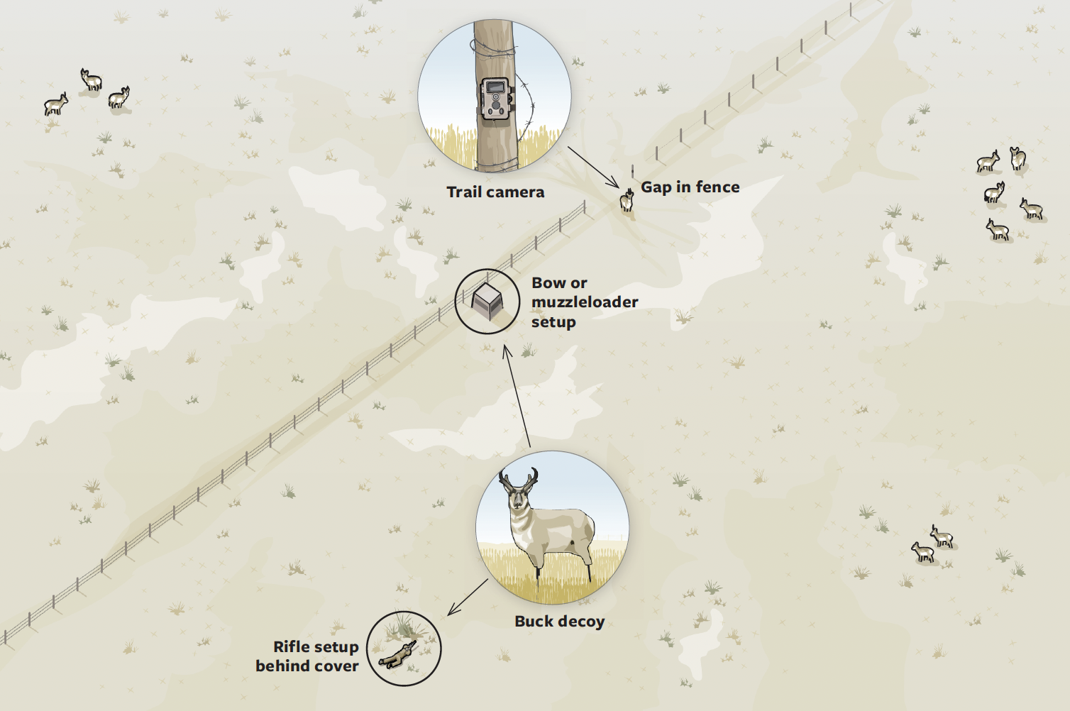 A diagram showing how to hunt pronghorn antelope with a decoy