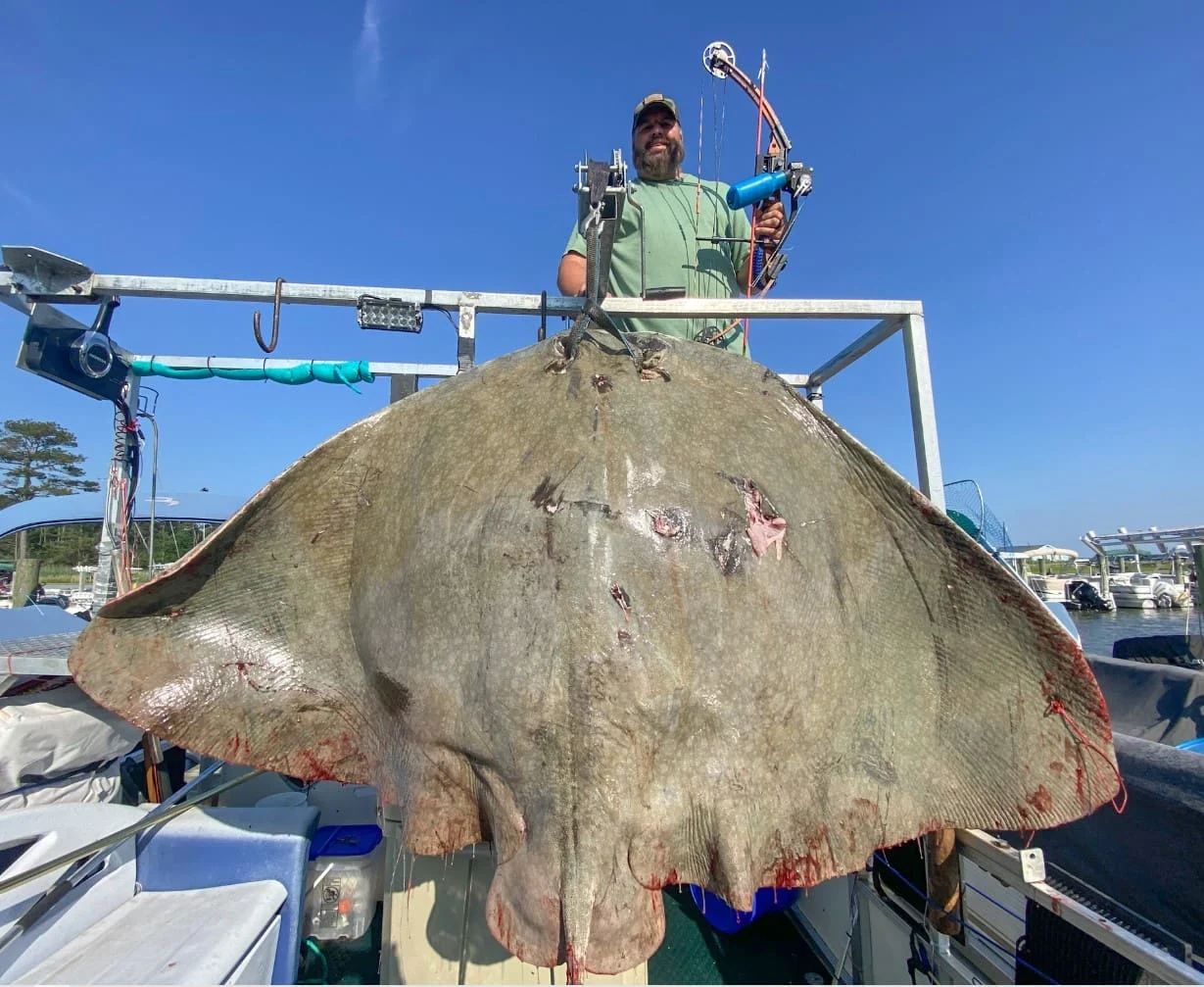 A bowfisherman poses with a record-breaking butterfly ray.