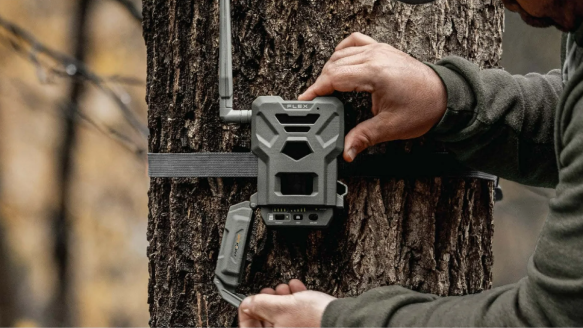 SpyPoint Flex-M Cellular Trail Camera mounted on tree