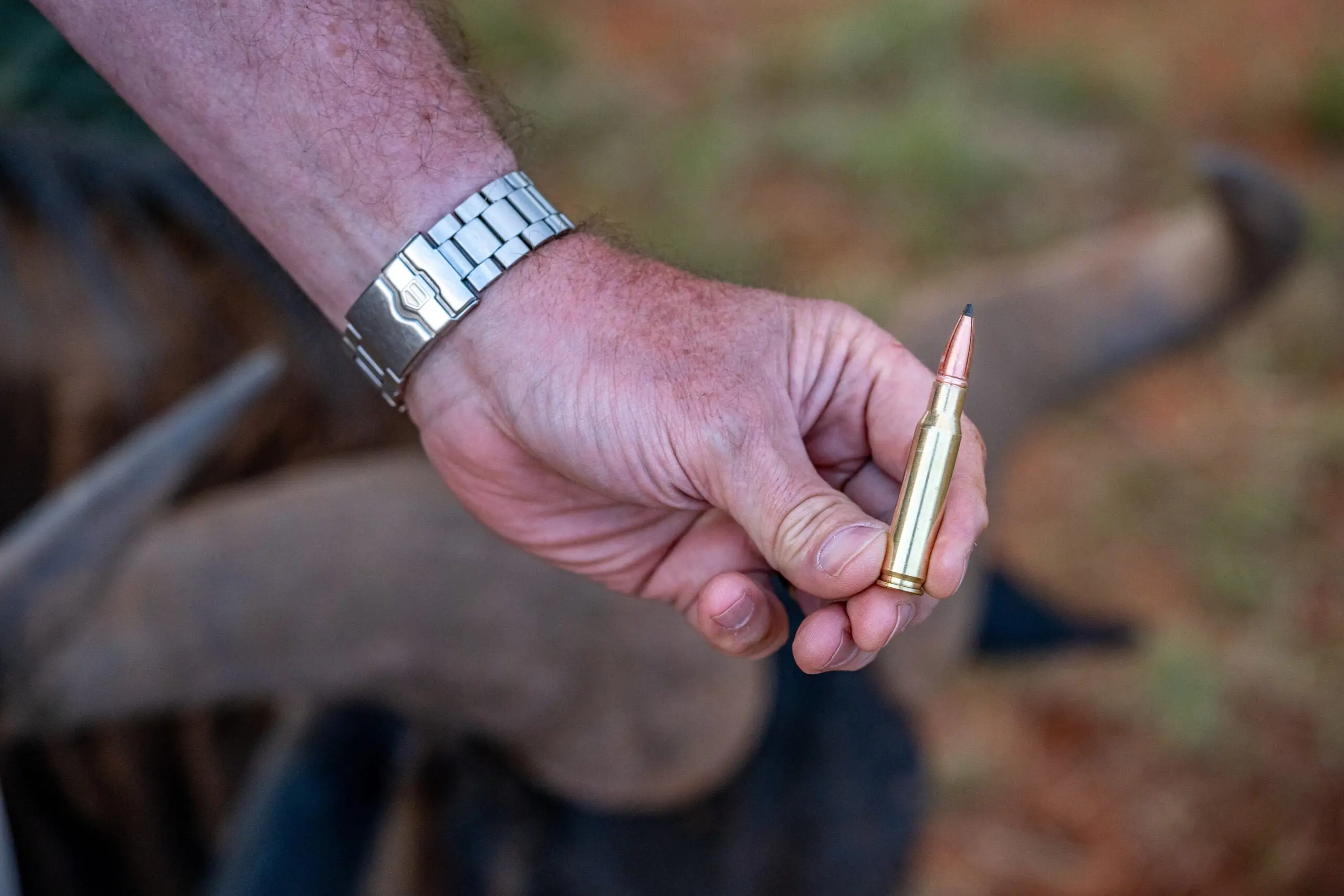 A man's hand hold a new Lehigh Defense hunting cartridge with a harvested animal in the background.