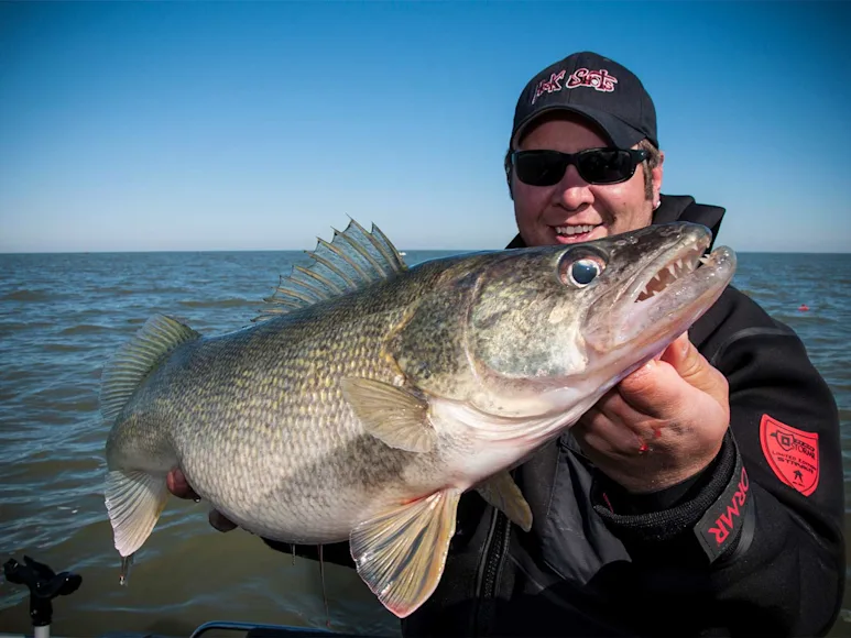 Joe Cermele Lake Erie Walleye Fishing