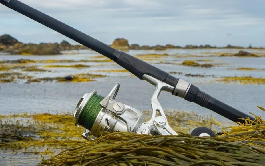 best_braided_fishing_line