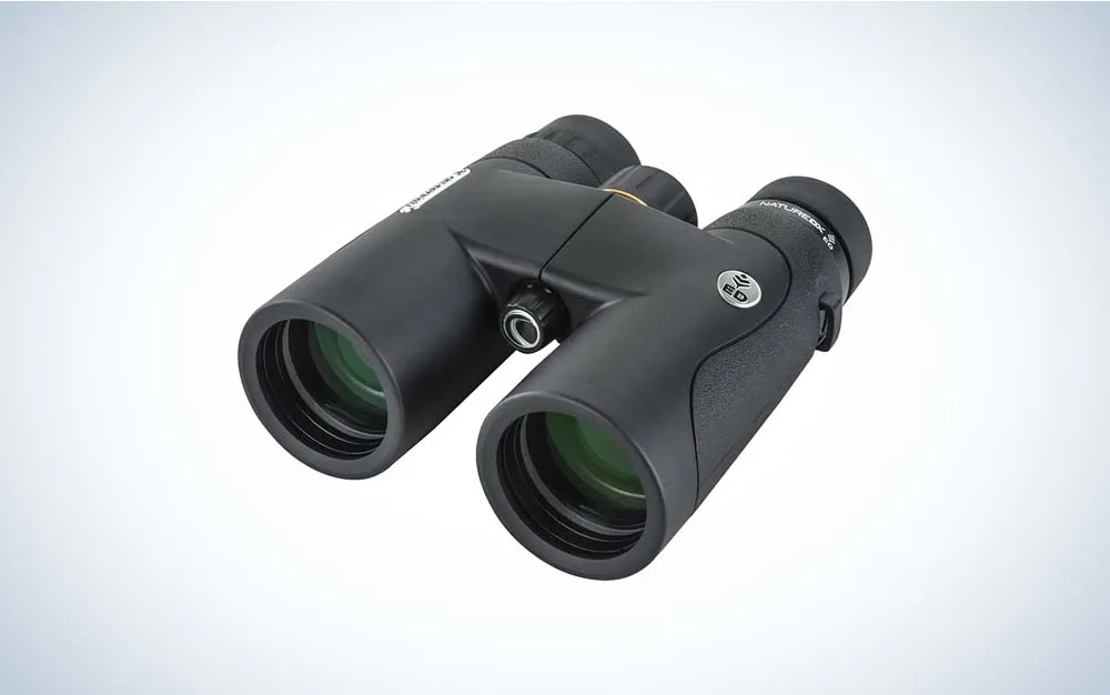 Binoculars photo