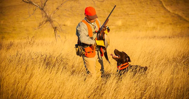 Hunter in golden light holds pheasant and shotgun