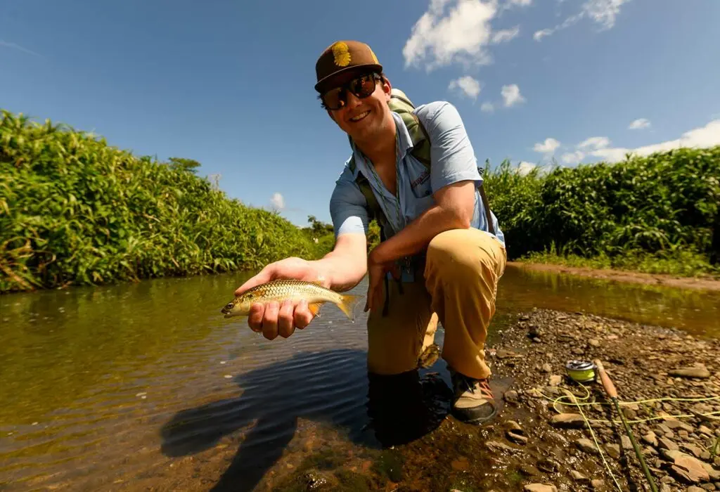 An angler kneeling beside a river holding a mountain mullet.