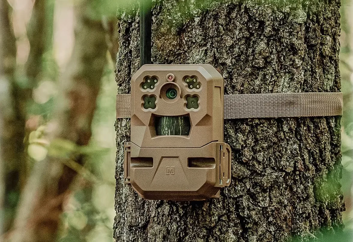 https://www.cabelas.com/shop/en/moultrie-mobile-edge-cellular-trail-camera?ds_e=GOOGLE&amp;ds_c=Cabelas%7CShopping%7CSmart%7CCatchAll%7CGeneral%7CNAud%7CHigh%7CNMT&amp;gclid=CjwKCAjw8JKbBhBYEiwAs3sxNxmaVA4_V0gOQGXgs0bUrJA3X4eJ-dExImlvtNaBNTwcCKmZmYMiWxoCdl0QAvD_BwE&amp;gclsrc=aw.ds