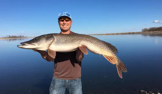 pike, fly fishing, flyfishing, pike fishing, northern pike, fly fishing for pike, state record pike, Devils Lake, North Dakota pike