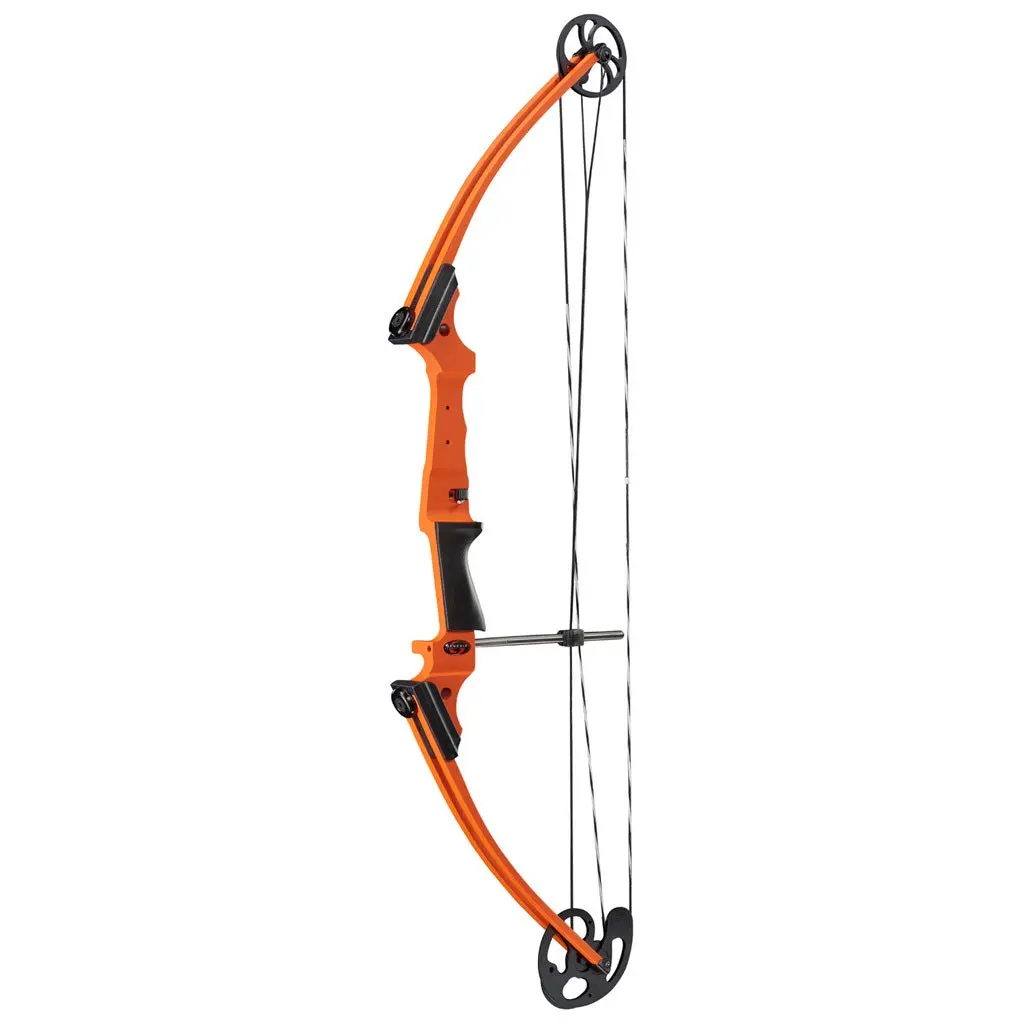 Compound Bows photo