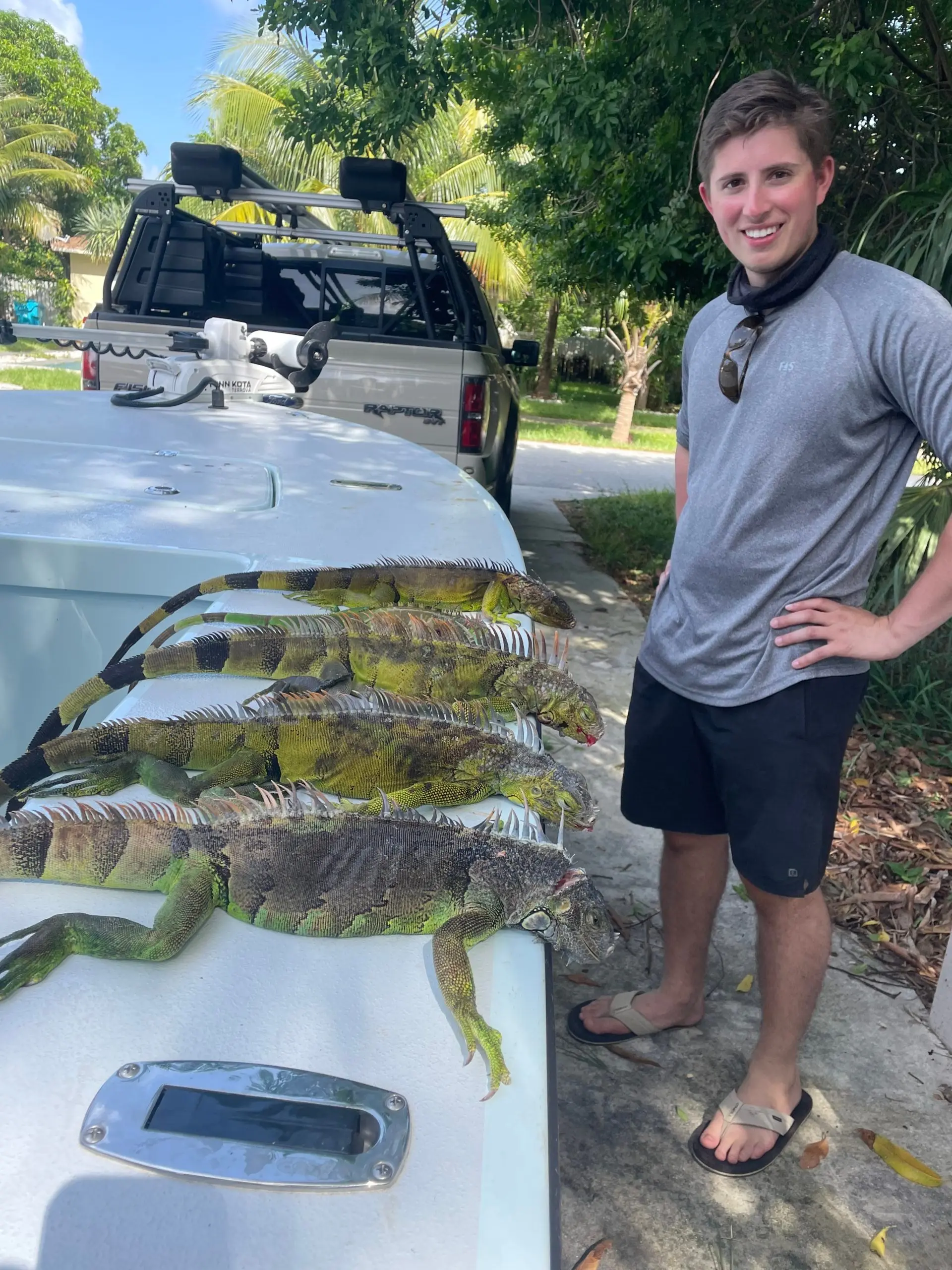 florida iguana hunting