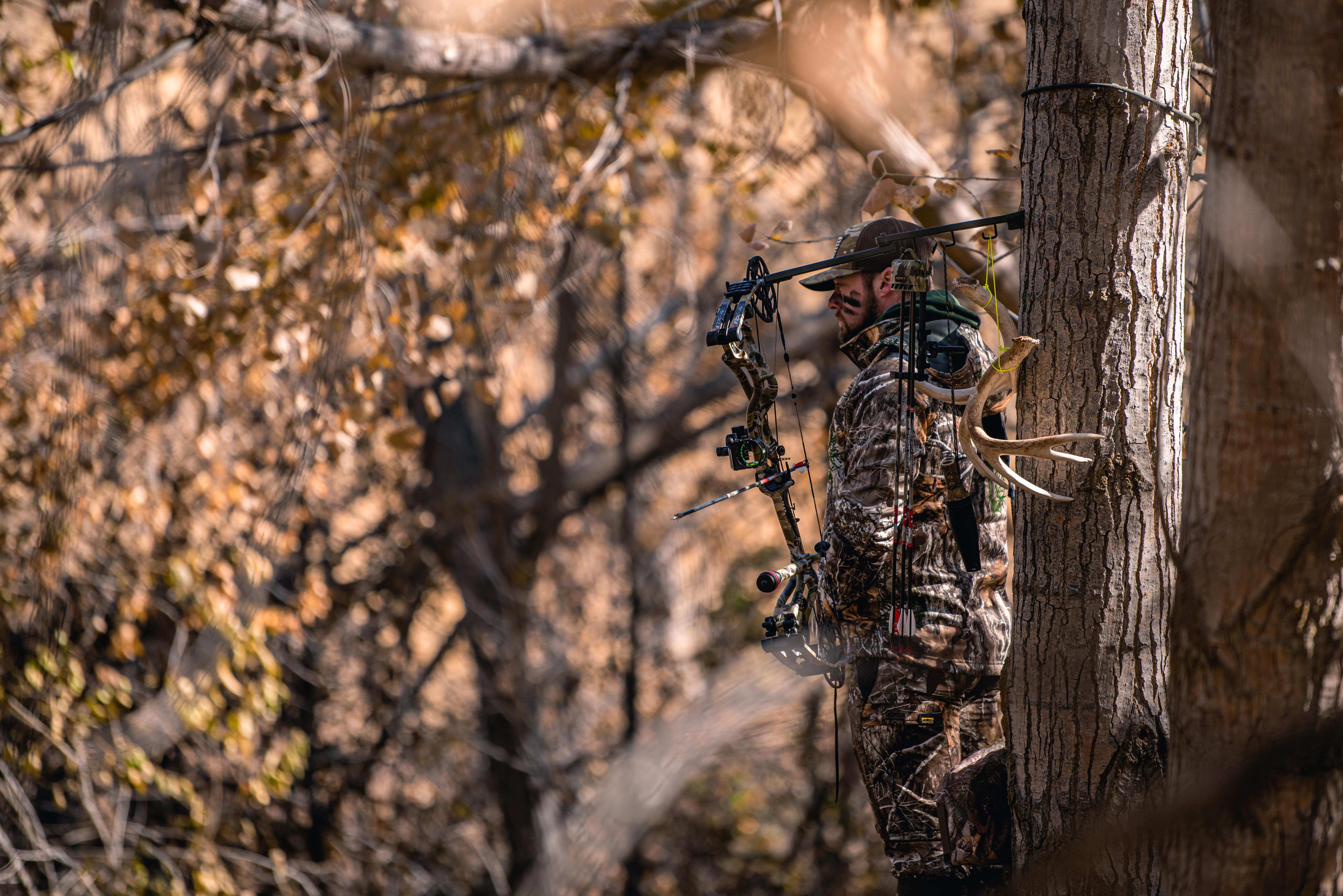 A bowhunter in a tree stand with rattling antlers nearby.