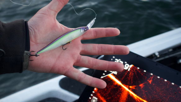 Angler holding Berkley Krej Forward-Facing Sonar jerkbait on boat