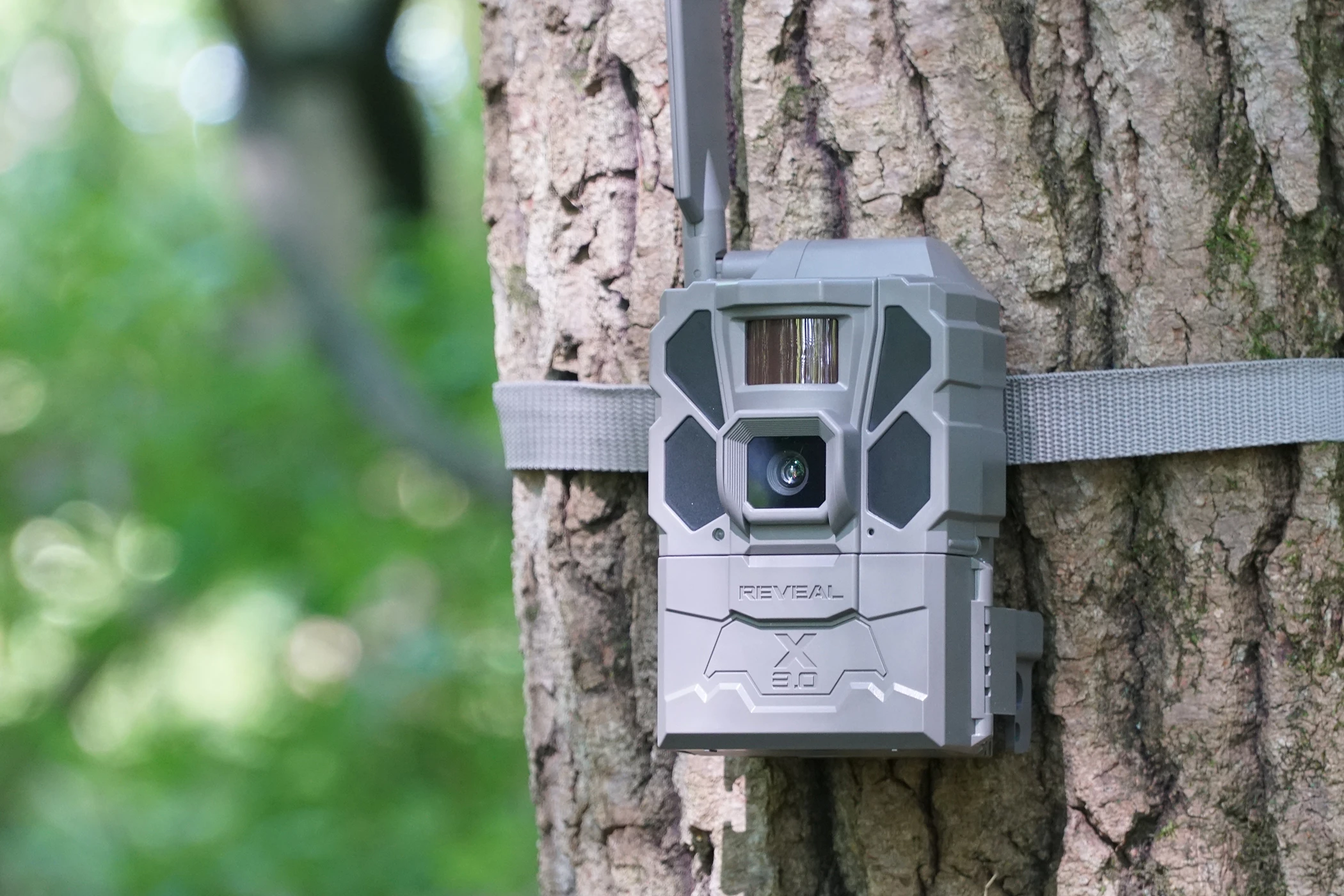 Tactacam X 3.0 cellular trail camera attached to a tree.