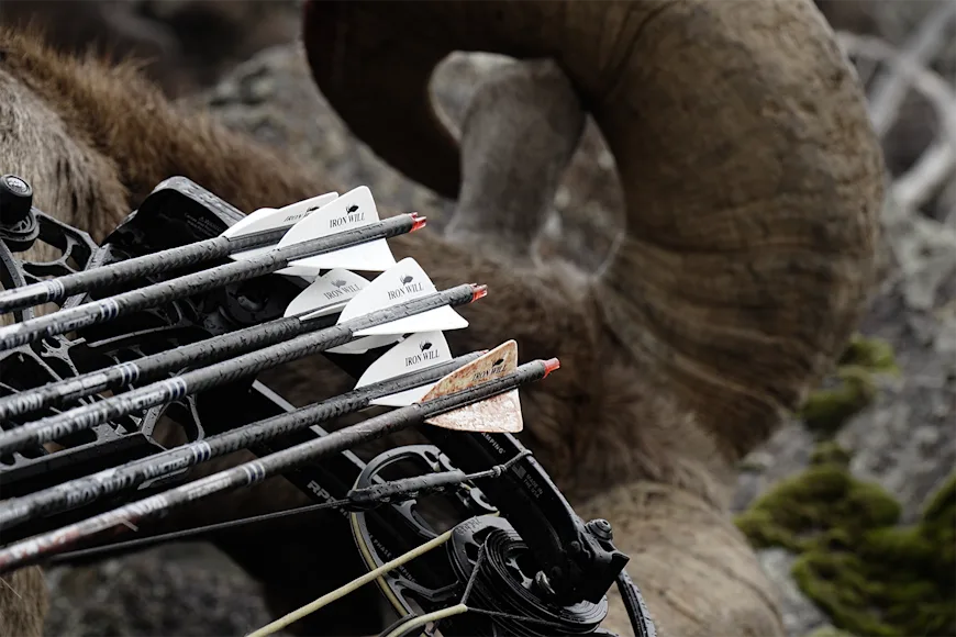 A quiver full of six arrows with a bighorn sheep's horn in the background.
