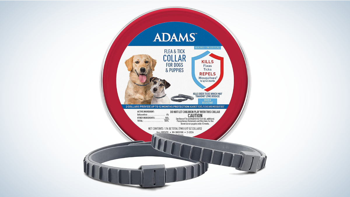 Best all natural flea and tick collar best sale