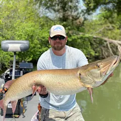 Author Steve Paul holding up a big musky.