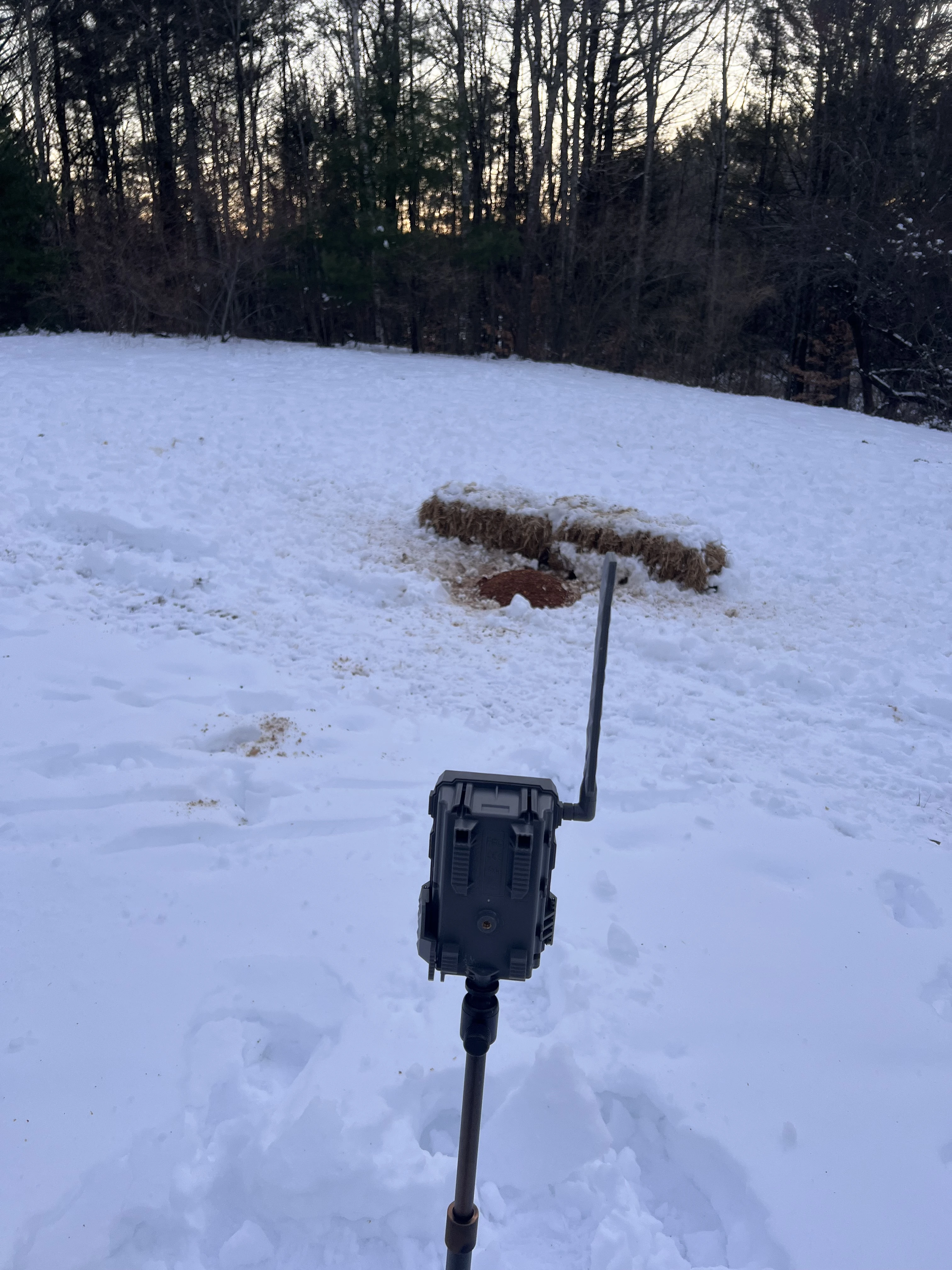 An illegal bait site photographed by fish and game agents in New Hampshire. 