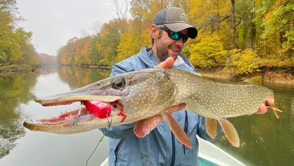 photo of northern pike