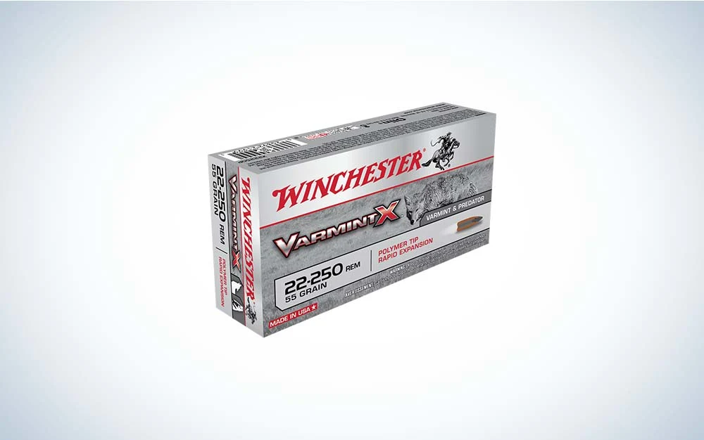 .22-250 Remington rifle ammo, best varmint cartridges