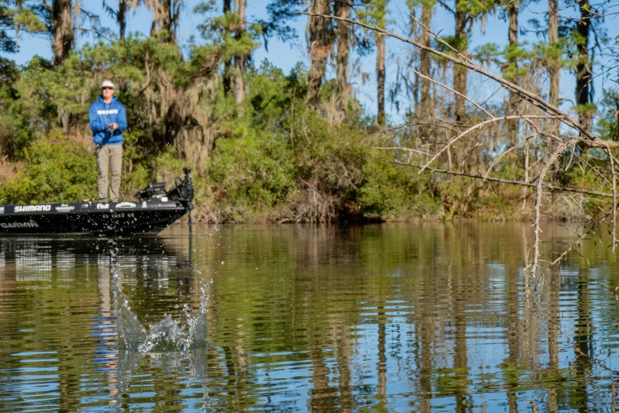 Bass angler makes cast from boat towards vegetation 