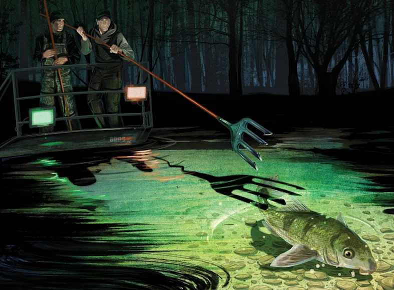 sucker gigging in the ozarks