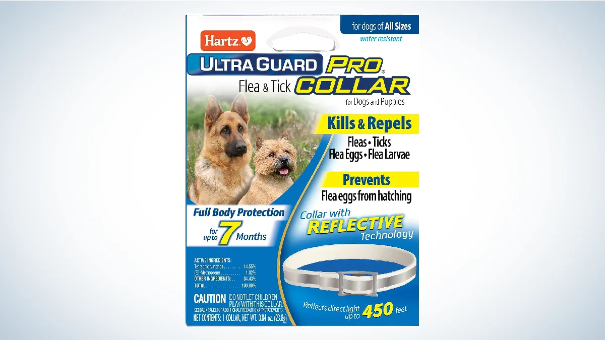 Best Tick Collars for Dogs: Hartz UltraGuard Pro Reflective Flea &amp; Tick Collar