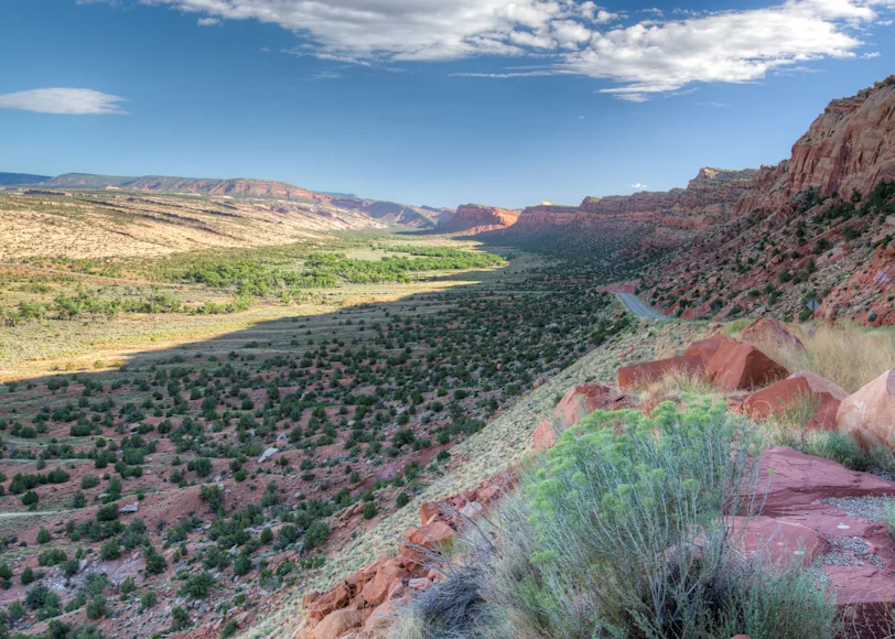 The Bears Ears National Monument in Utah is managed by the Bureau of Land Management.