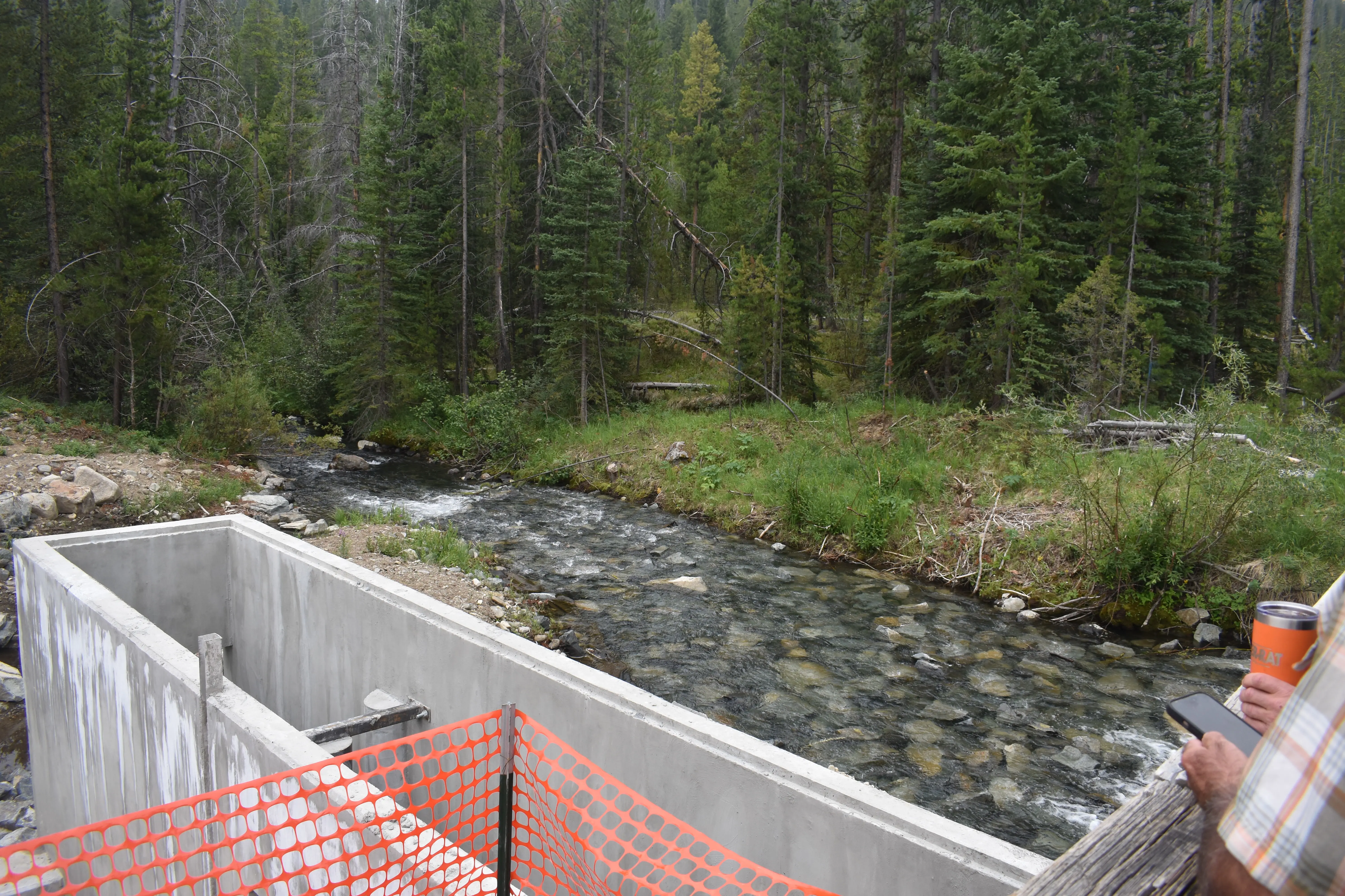 A concrete fish trap designed to allow migrating bull trout to move upstream.