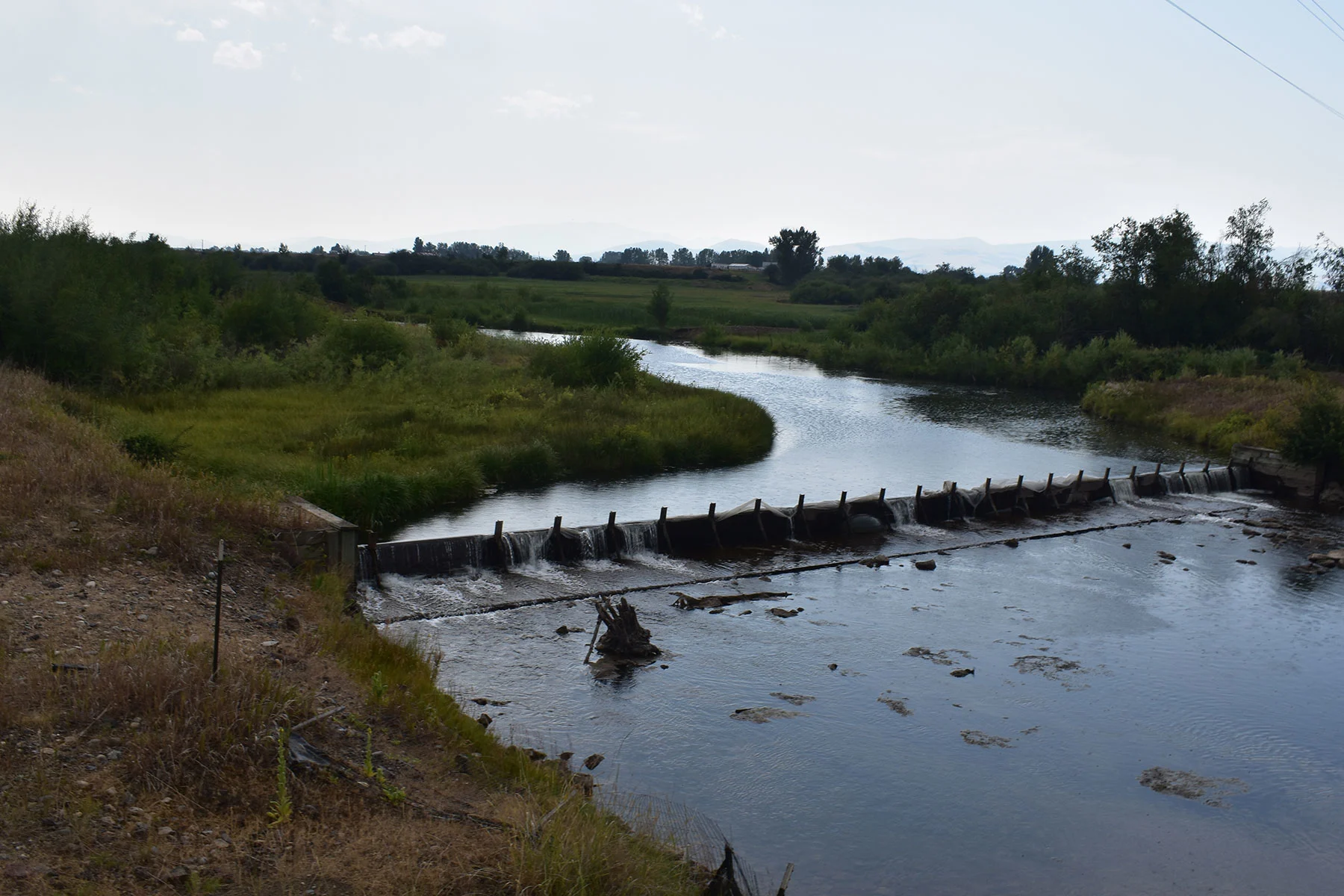 A diversion dam prevents trout from moving upstream. 