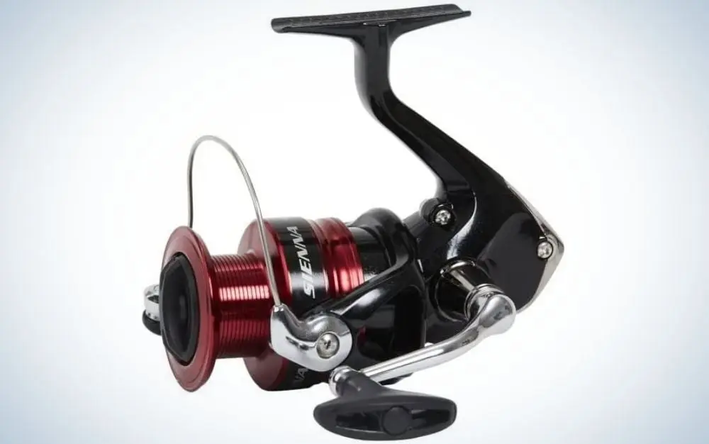 Shimano Sienna