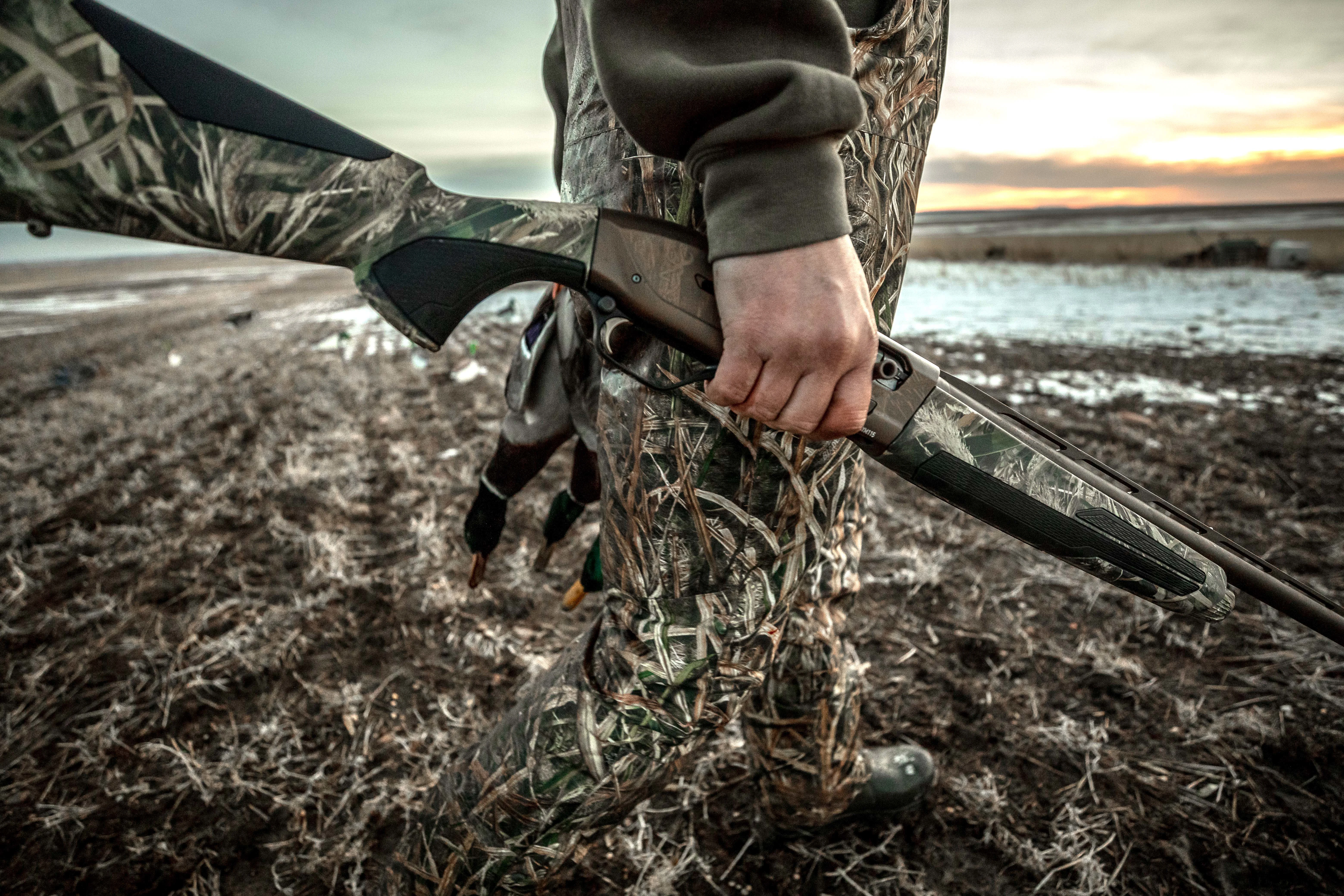 A hunter retrieves three ducks taken with a gas-operated Browning Maxus 2 shotgun 