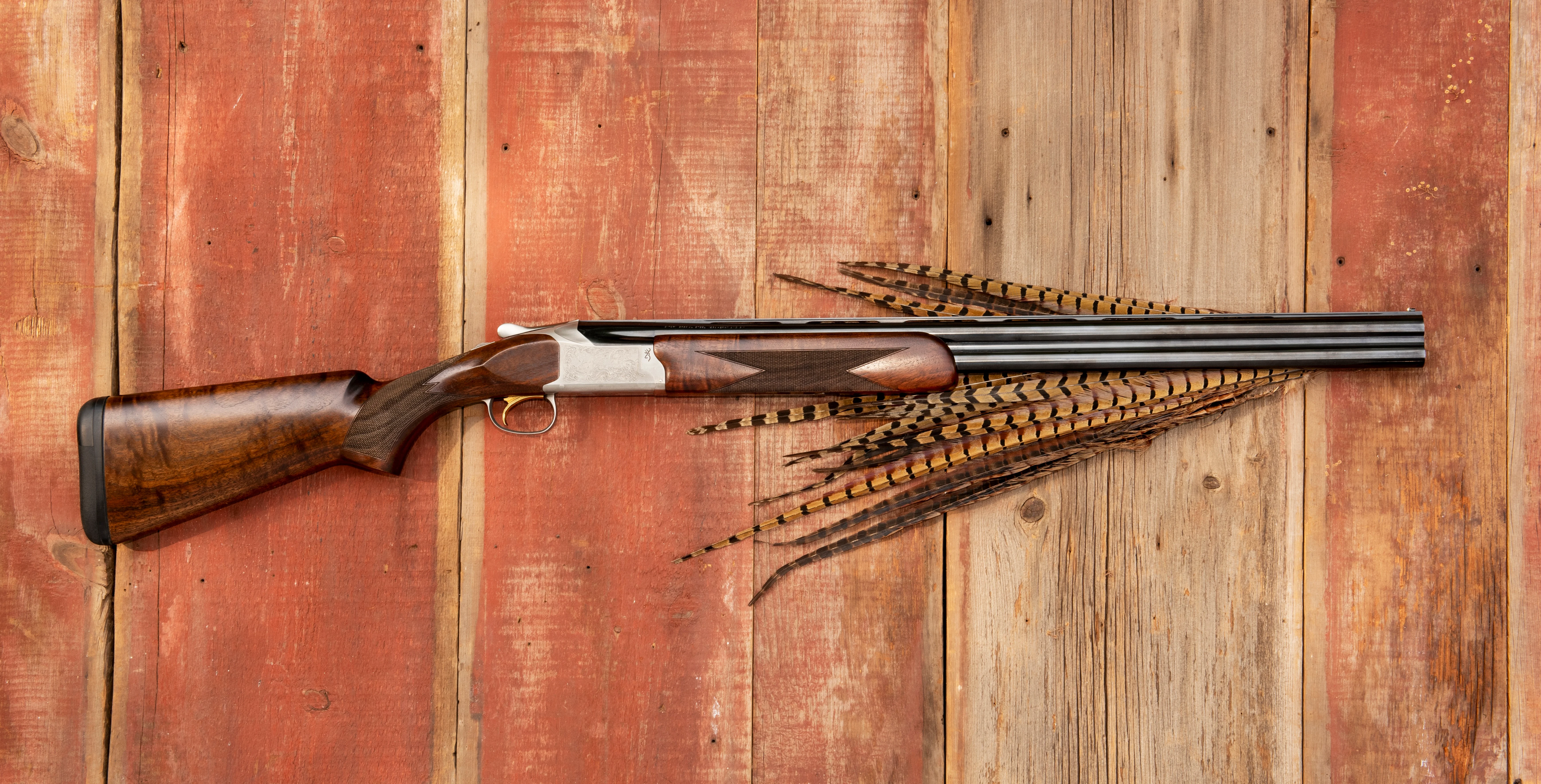 The new Browning Citori 825 Field shotgun on barn boards with pheasant tailfeathers.
