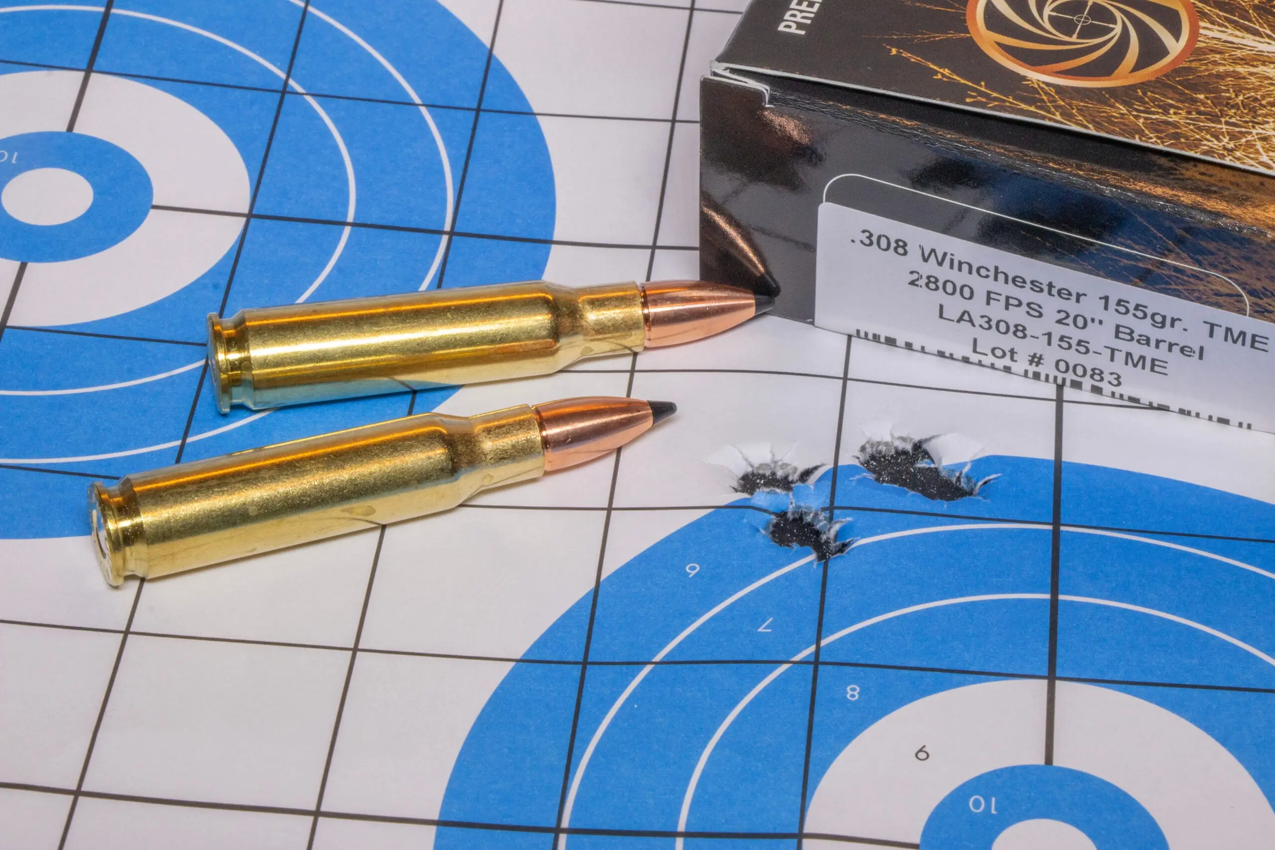 Photo of a shooting target with five bullet holes and ammo.