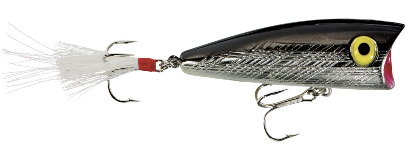 photo of popper lure