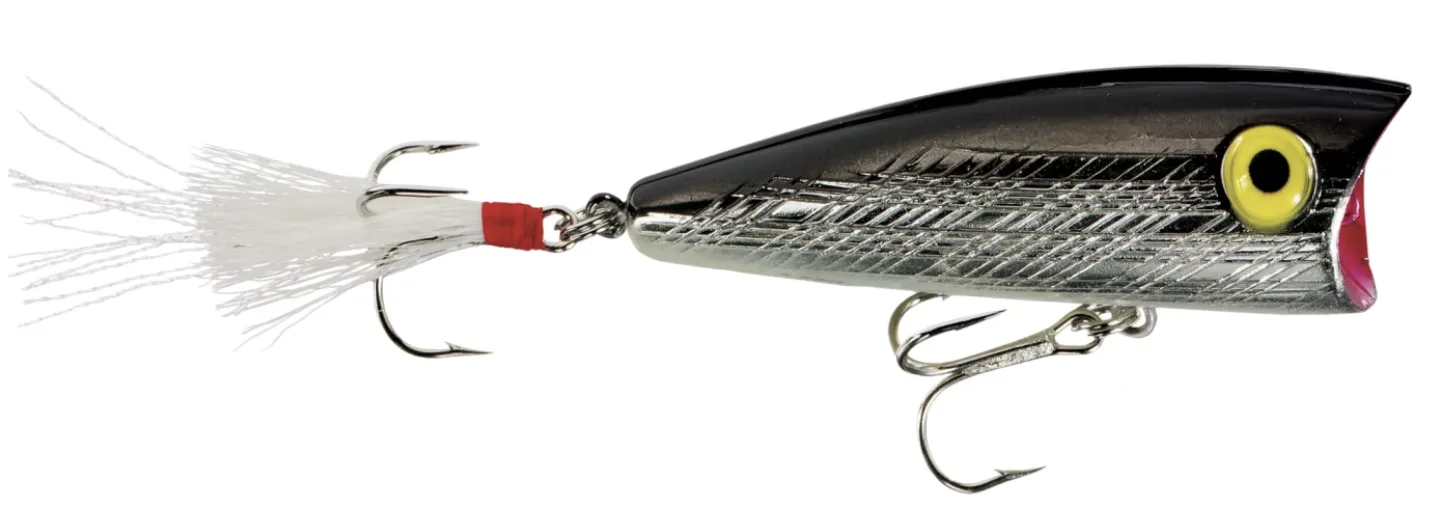 photo of popper lure