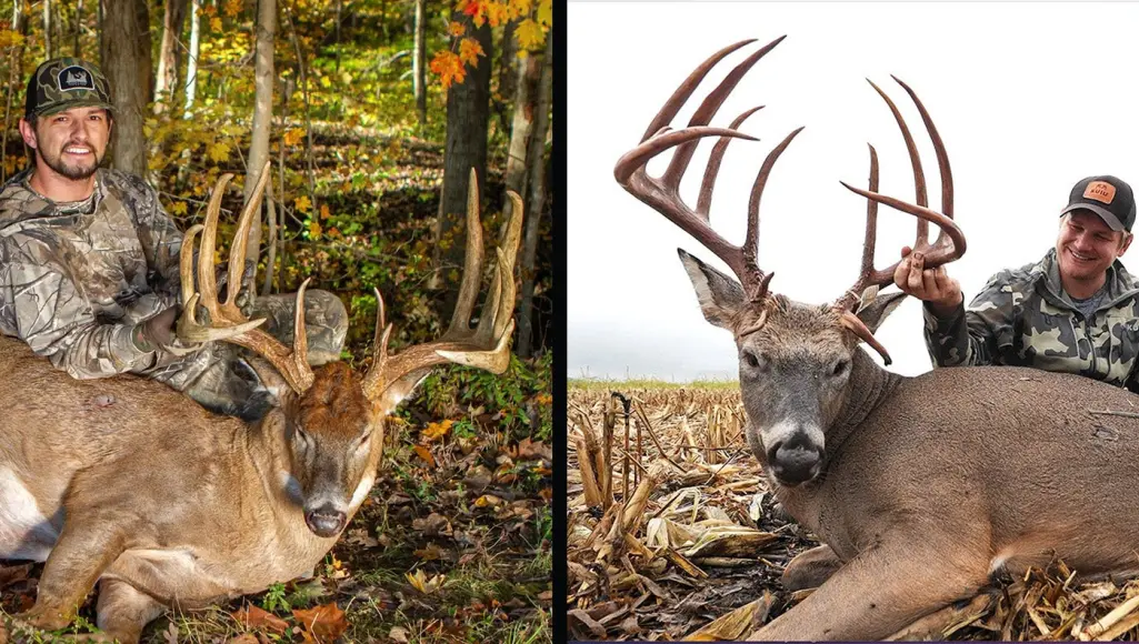 two hunters with big whitetail bucks