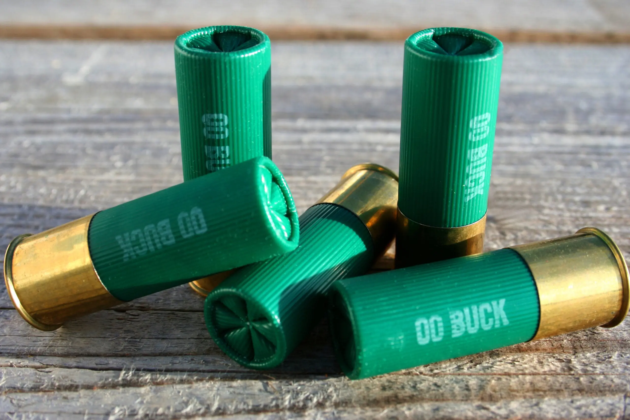 What Is Buckshot? | Field & Stream