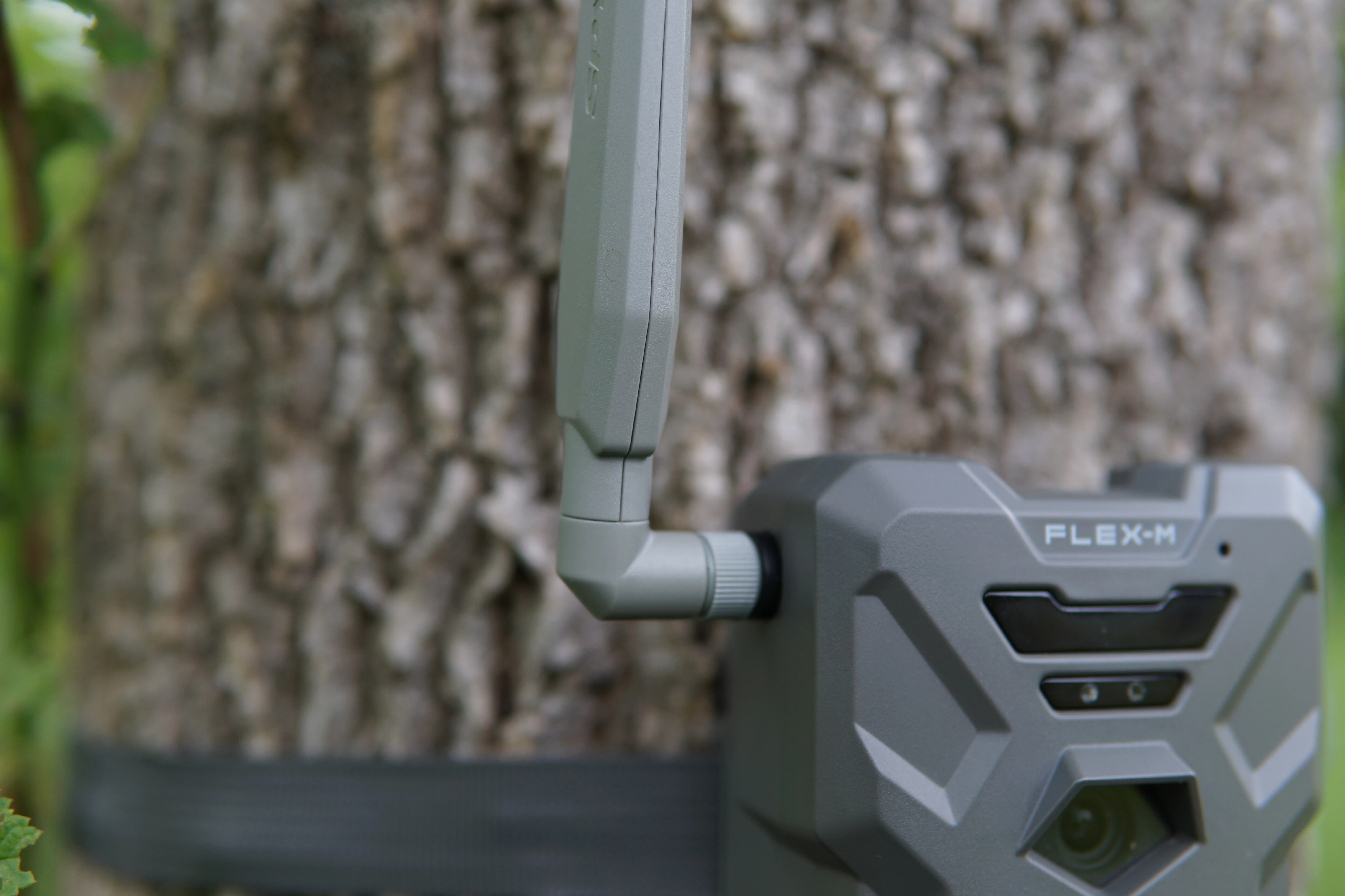 Closeup of the antenna on the new Spypoint Flex-M cellular trail camera. 