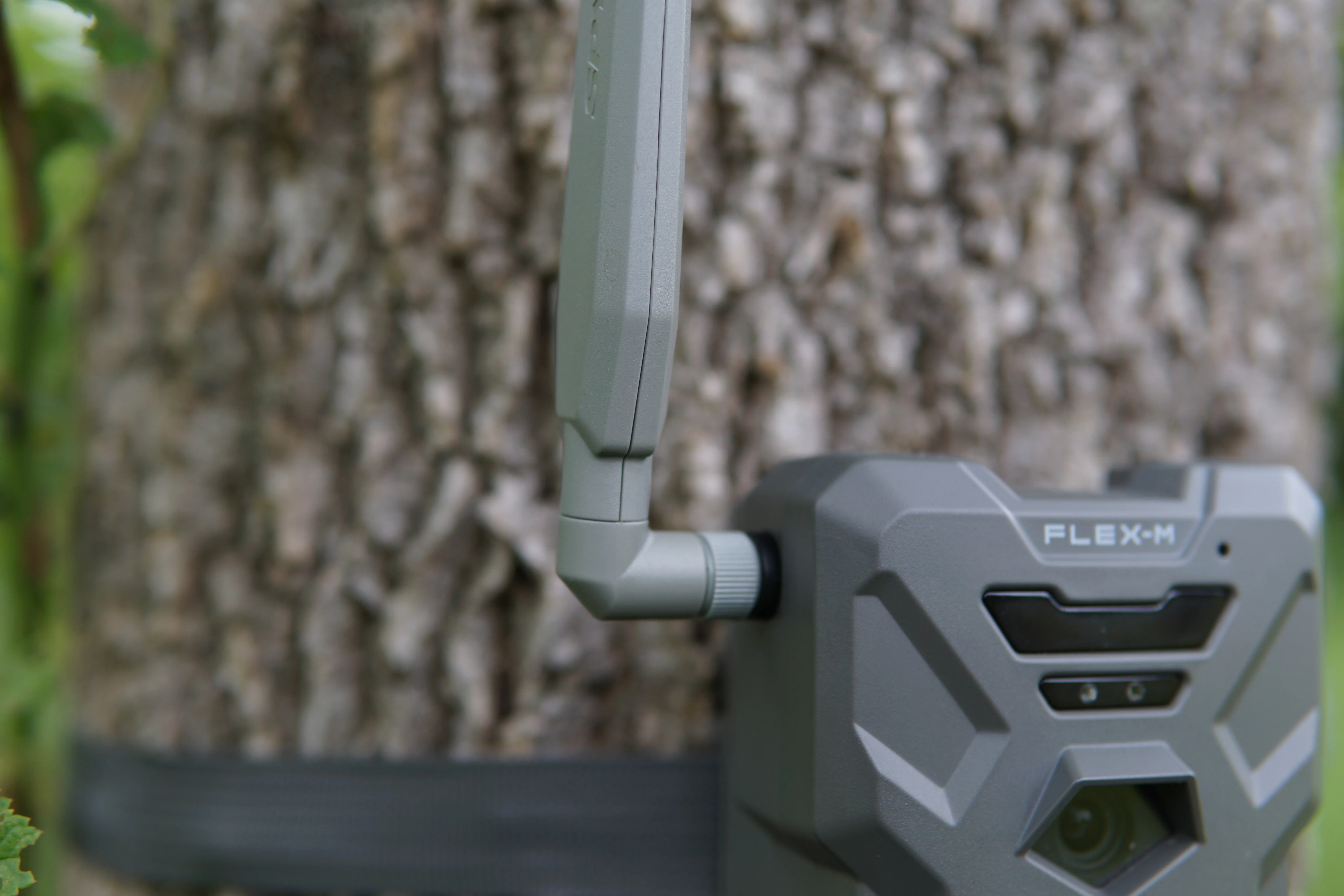 Closeup of the antenna on the new Spypoint Flex-M cellular trail camera. 