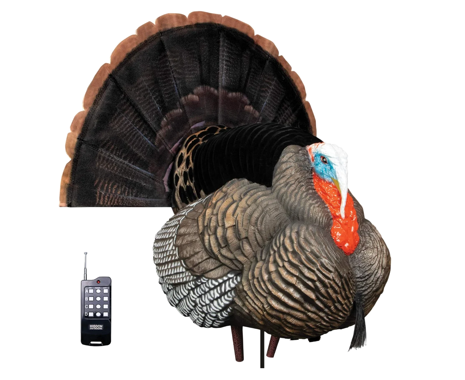 Higdon Motion Tom Decoy