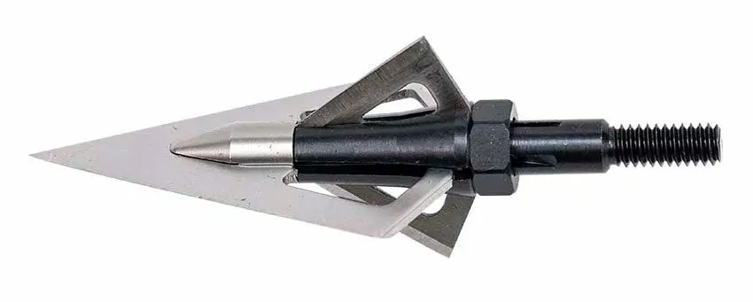 new broadheads 2023, Wasp